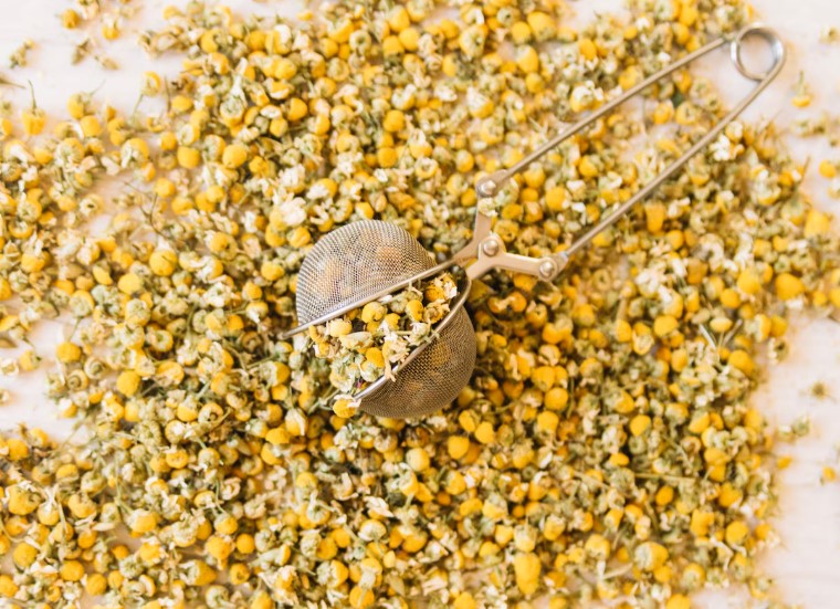 chamomile raices de la tierra